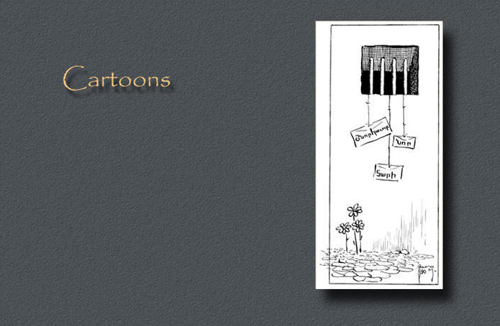 Political Cartoons Armenian Genocide